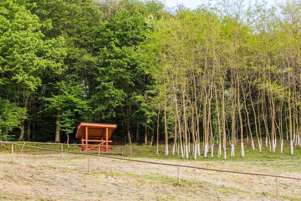 Pensiunea Dor De Casa Pestenita ภายนอก รูปภาพ